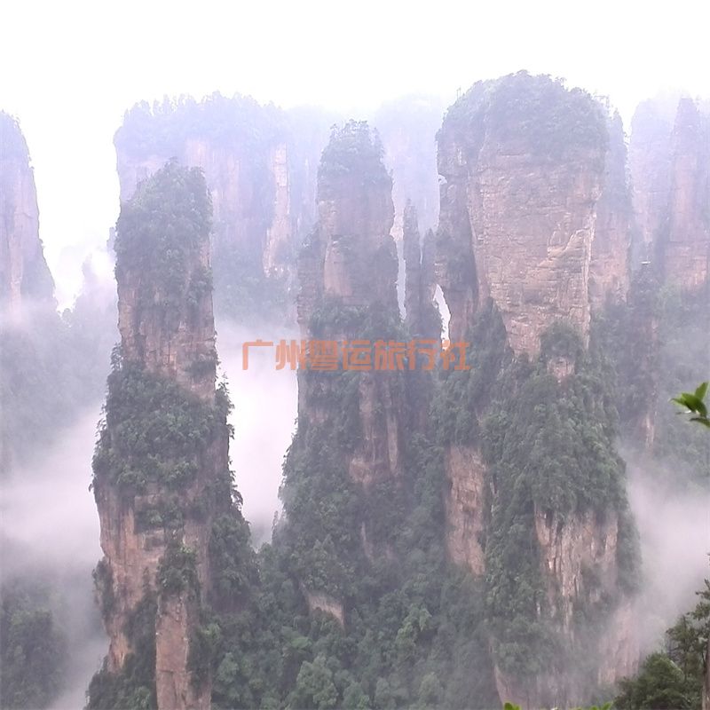 皇牌张家界/芙蓉镇/